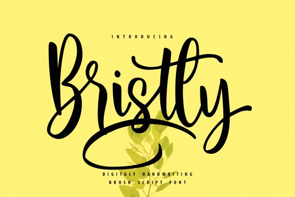 Bristly: A Handwritten Font for Elegant Editorial Design