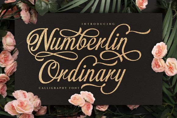 Numberlin Ordinary: A Versatile Script Font for Digital Creatives