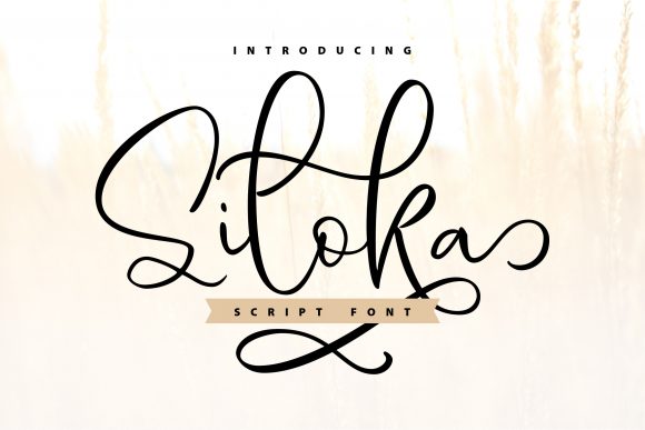 Siloka: A Handwritten Font for Modern Web Design